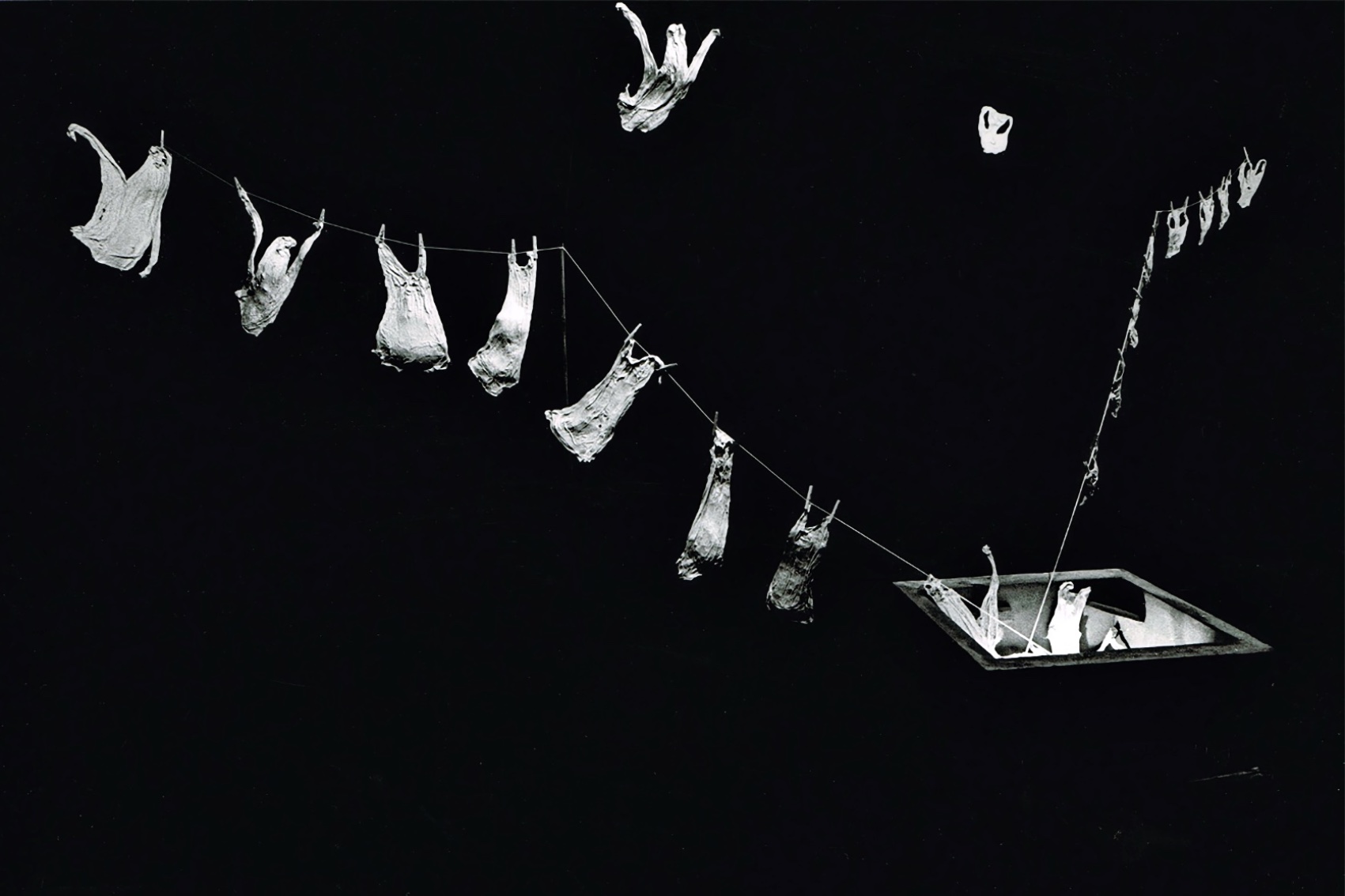 D061E19E B20B 43D7 97AB 1157519CFBF5