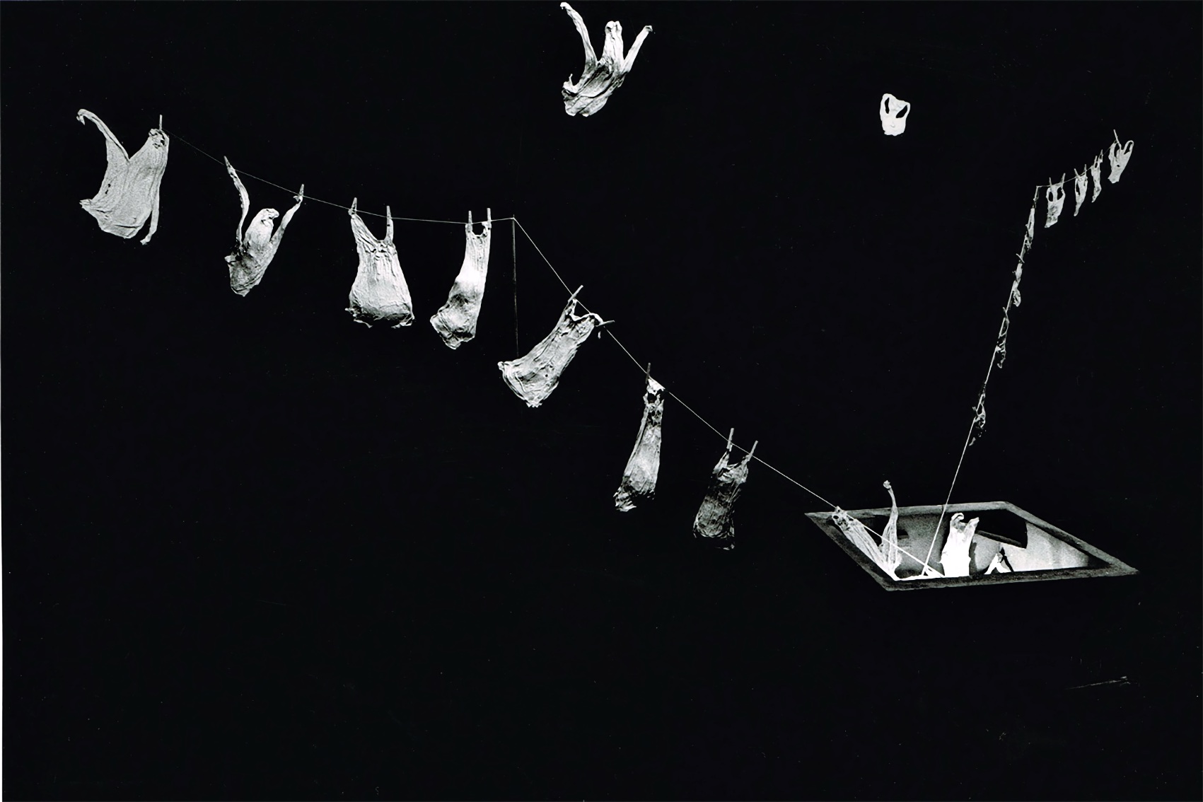 D061E19E B20B 43D7 97AB 1157519CFBF5